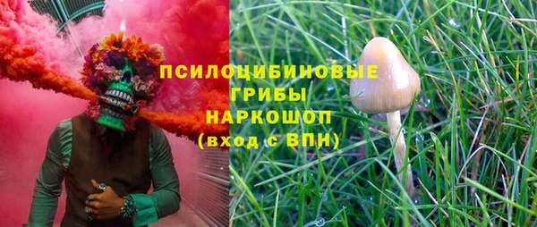 круглые Алзамай