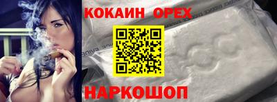 бошки Кингисепп