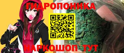 шишки Кинель