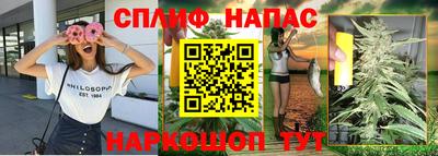 бошки Кингисепп