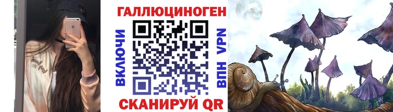дарнет шоп  Куйбышев  Галлюциногенные грибы MAGIC MUSHROOMS 