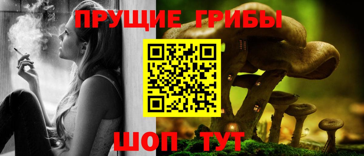 Куйбышев  Галлюциногенные грибы GOLDEN TEACHER  Вход с VPN  хочу наркоту  Галлюциногенные грибы ЛСД 