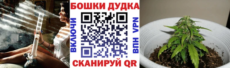 Конопля семена Куйбышев